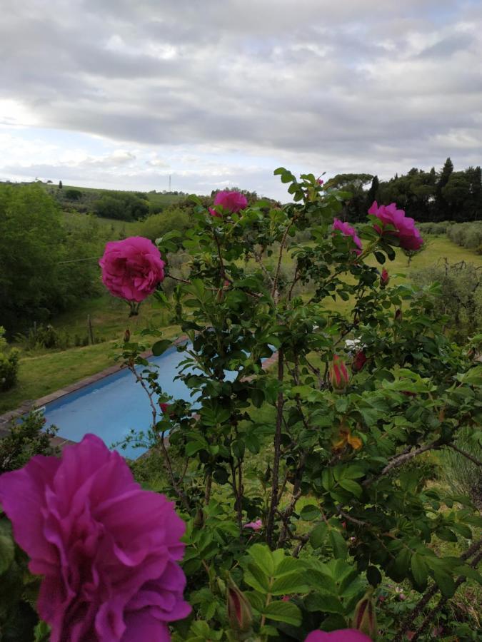 Poderi In Chianti Tavarnelle Val di Pesa Екстериор снимка